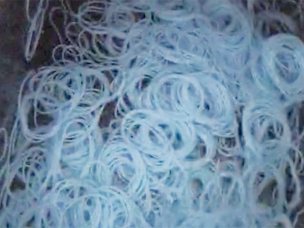 O型圈 防水（shuǐ）油視頻展示